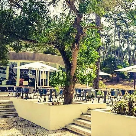 Apartmán Golden Stone Retreat